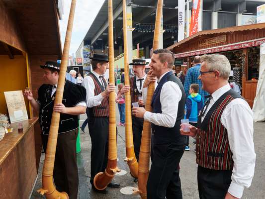 Get your horn on