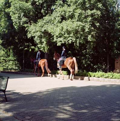 Mounted Police in the Giardino Inglese 