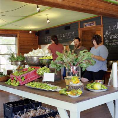 Produce for sale at Springdale Farm