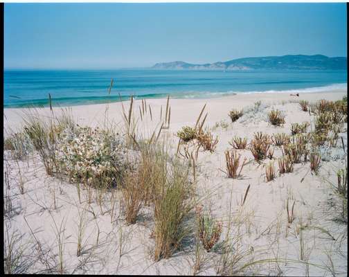 The famous, untouched Comporta beach