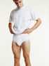 Briefs
