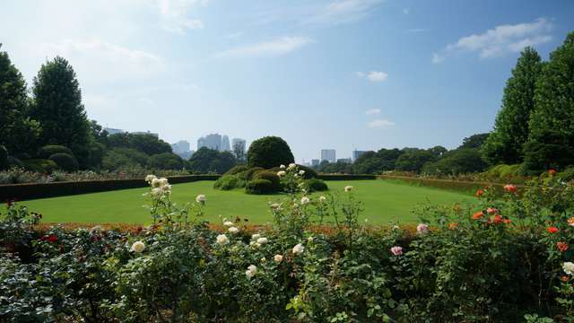Green spaces in Tokyo