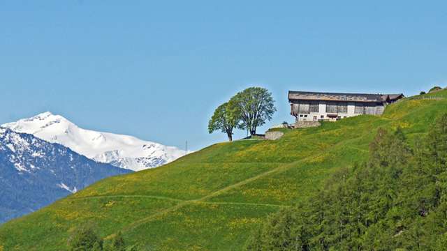South Tyrol goes organic