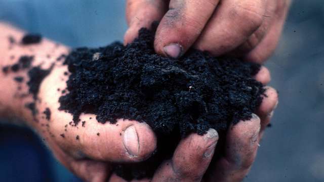 Soil – the new ingredient