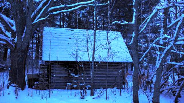 The smoke-sauna sisterhood