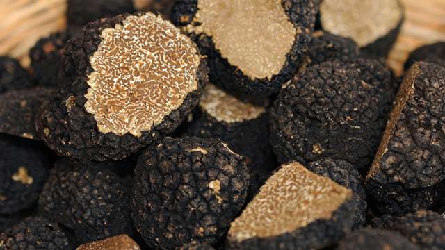 Provençal truffles