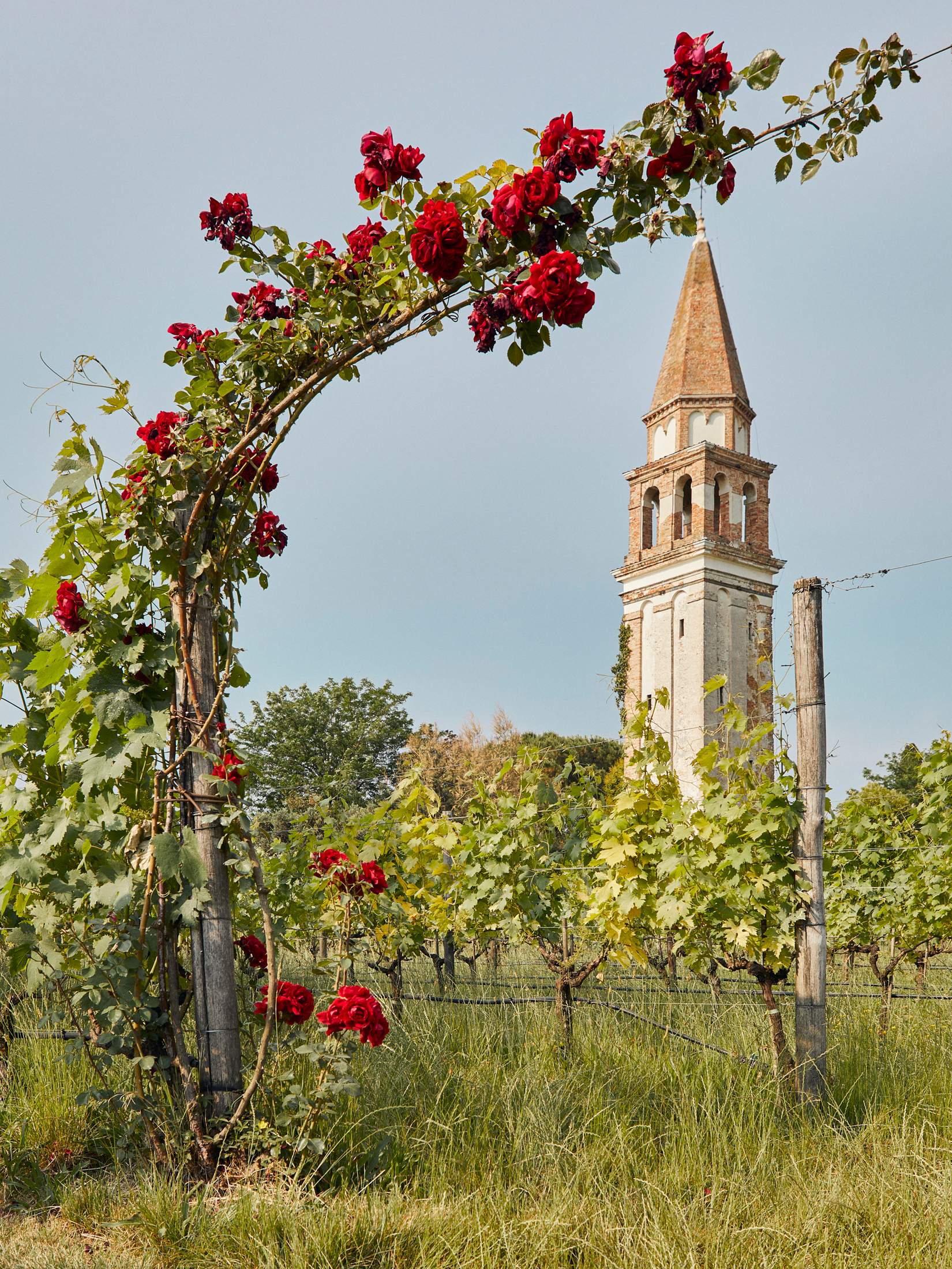 010_luigifiano_2020_monocle_venissa_y4a5430_small.jpg