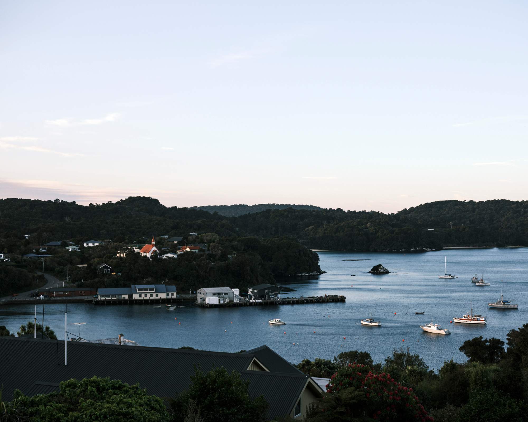 200922-stewart-island-_dsf5643_1.jpg