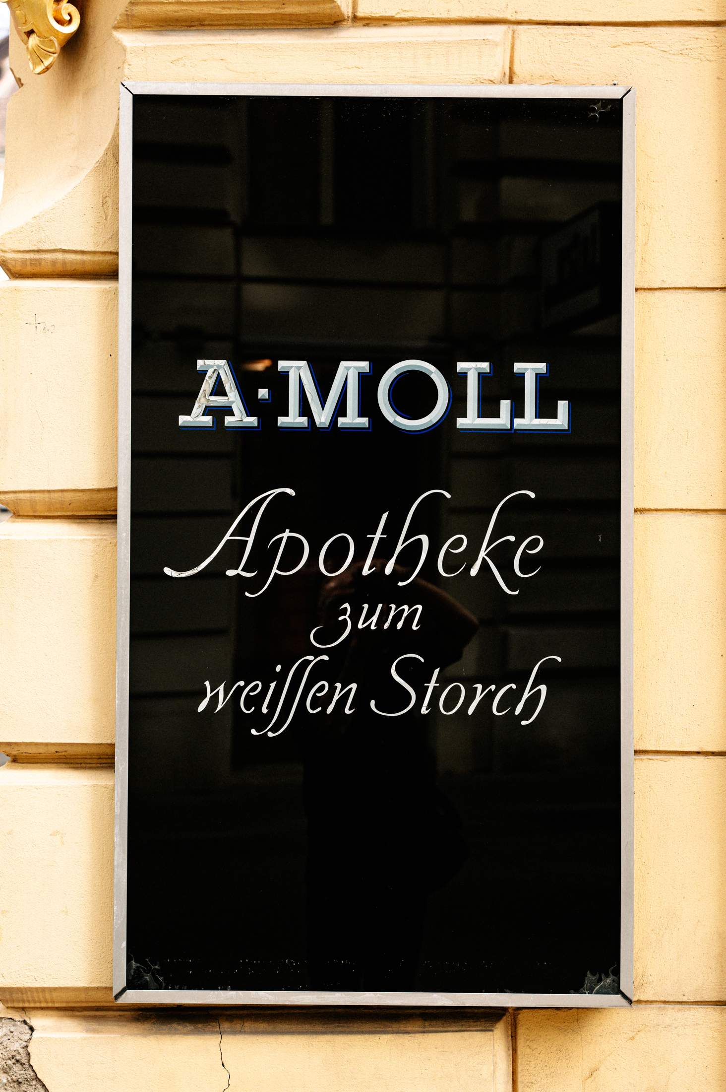 240718_jak_monocle_moll_apotheke_0048.jpg