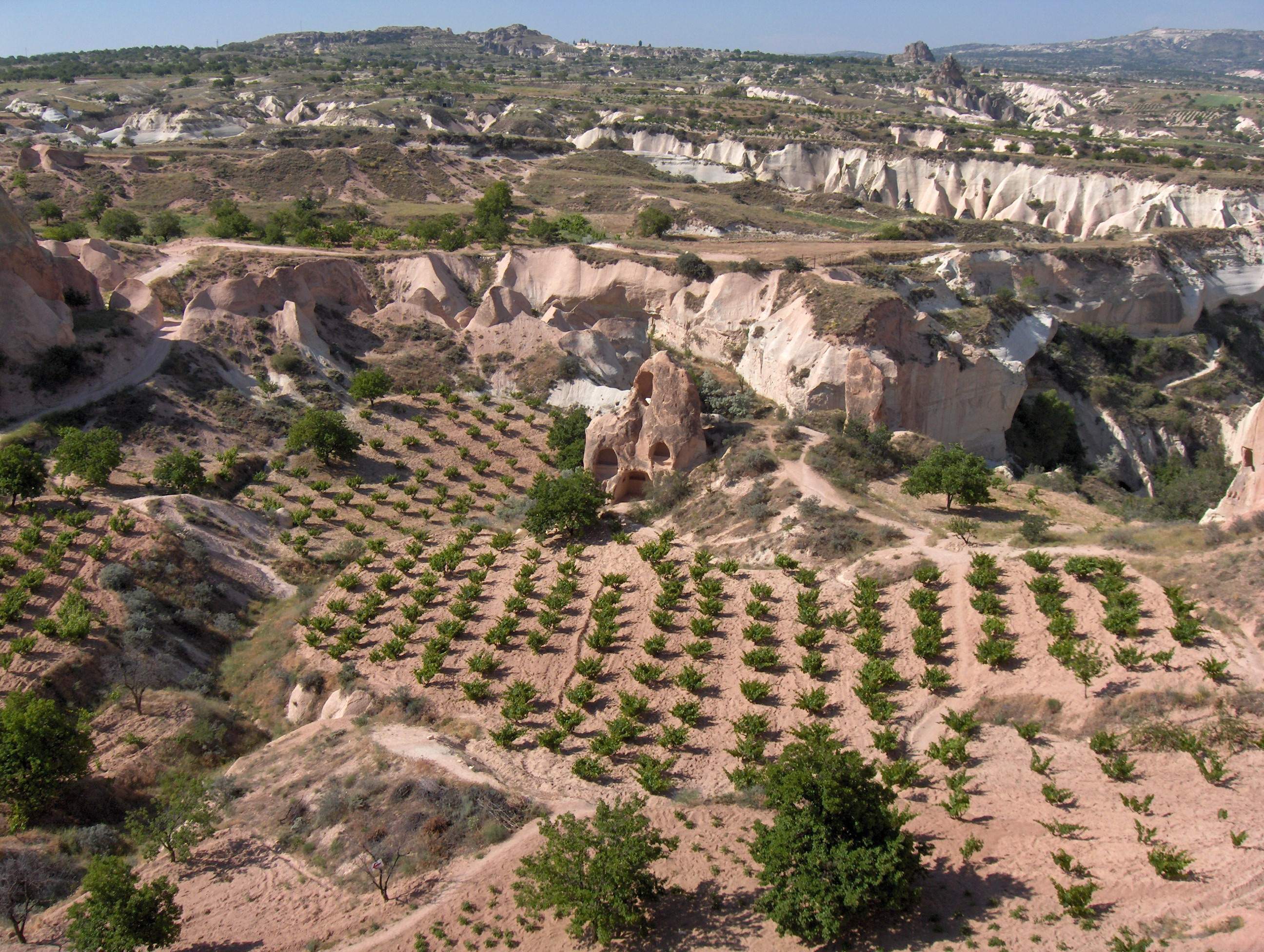 8-old-emir-vineyard-in-cappadocia-photo-credit-murat-yanki.jpg