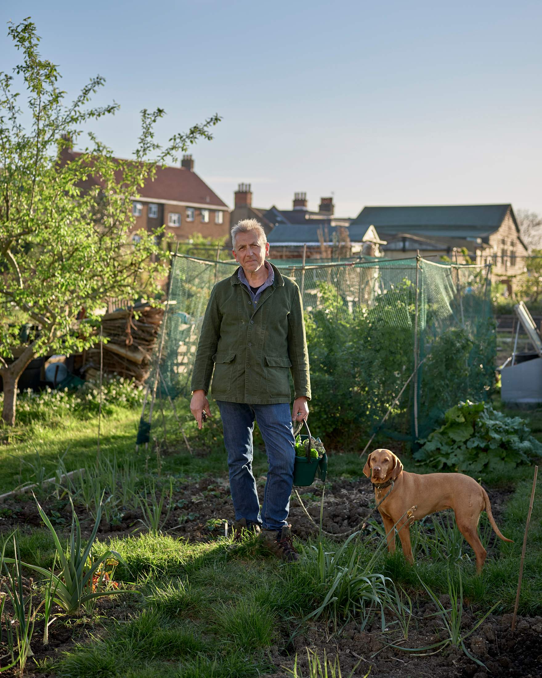 allotments2020_gili_5091.jpg