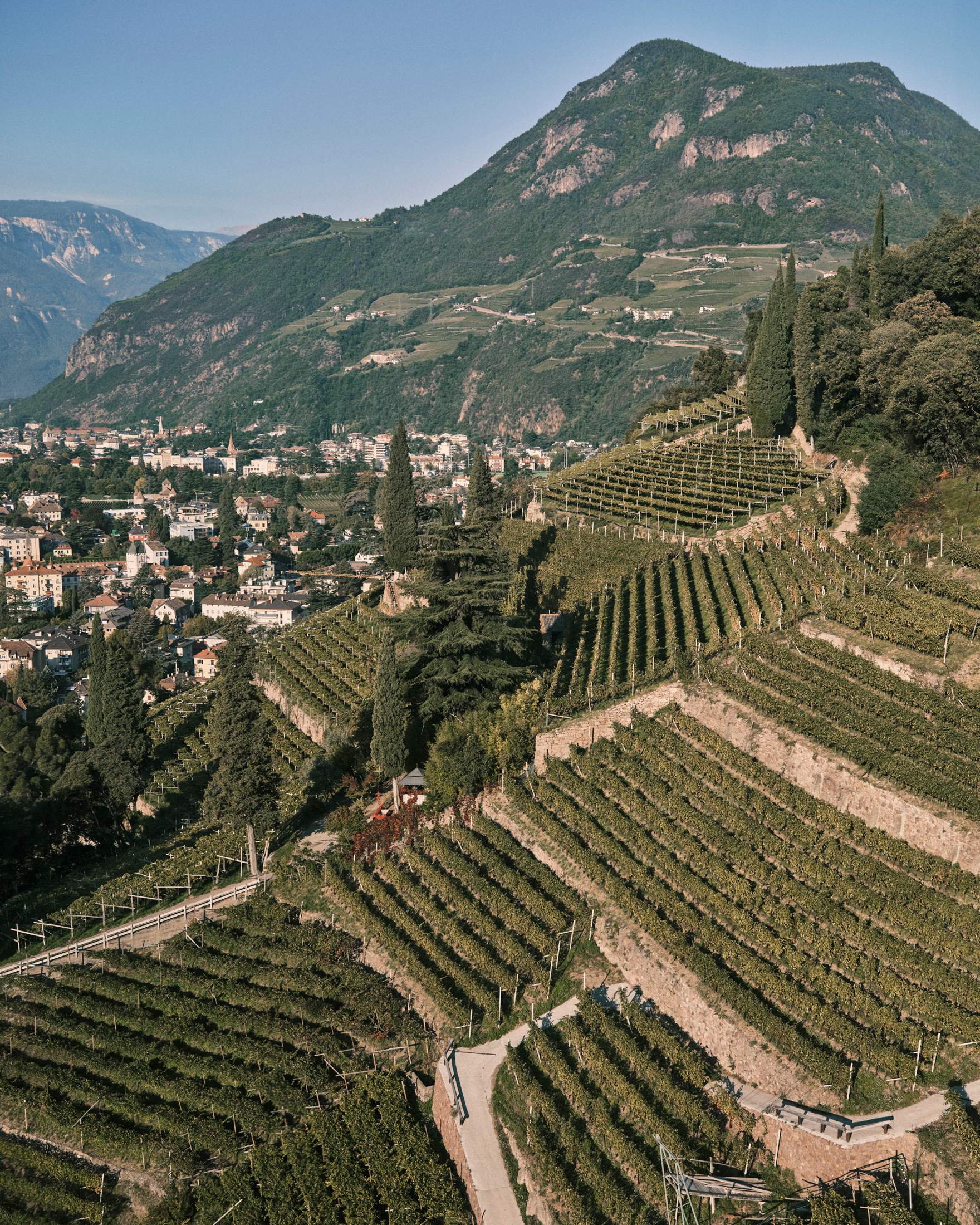 bolzano-monocle-hr-_gfx0382.jpg