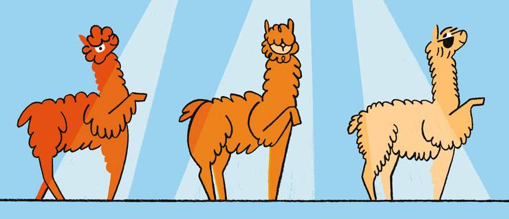 monocle_alpacas_story-5ad485974aa45.jpg