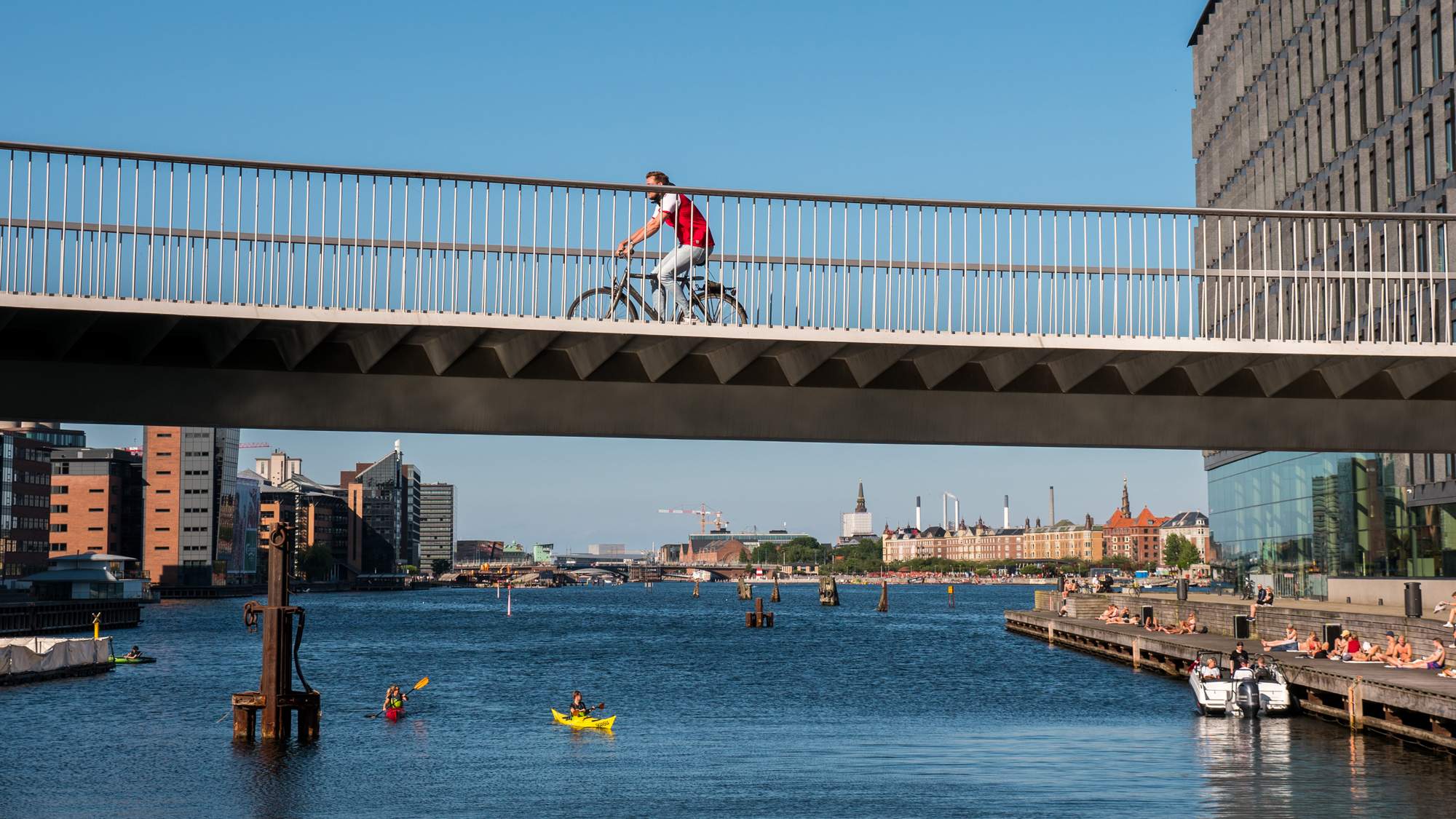 danielrasmussen-cykelslangen-top.jpg