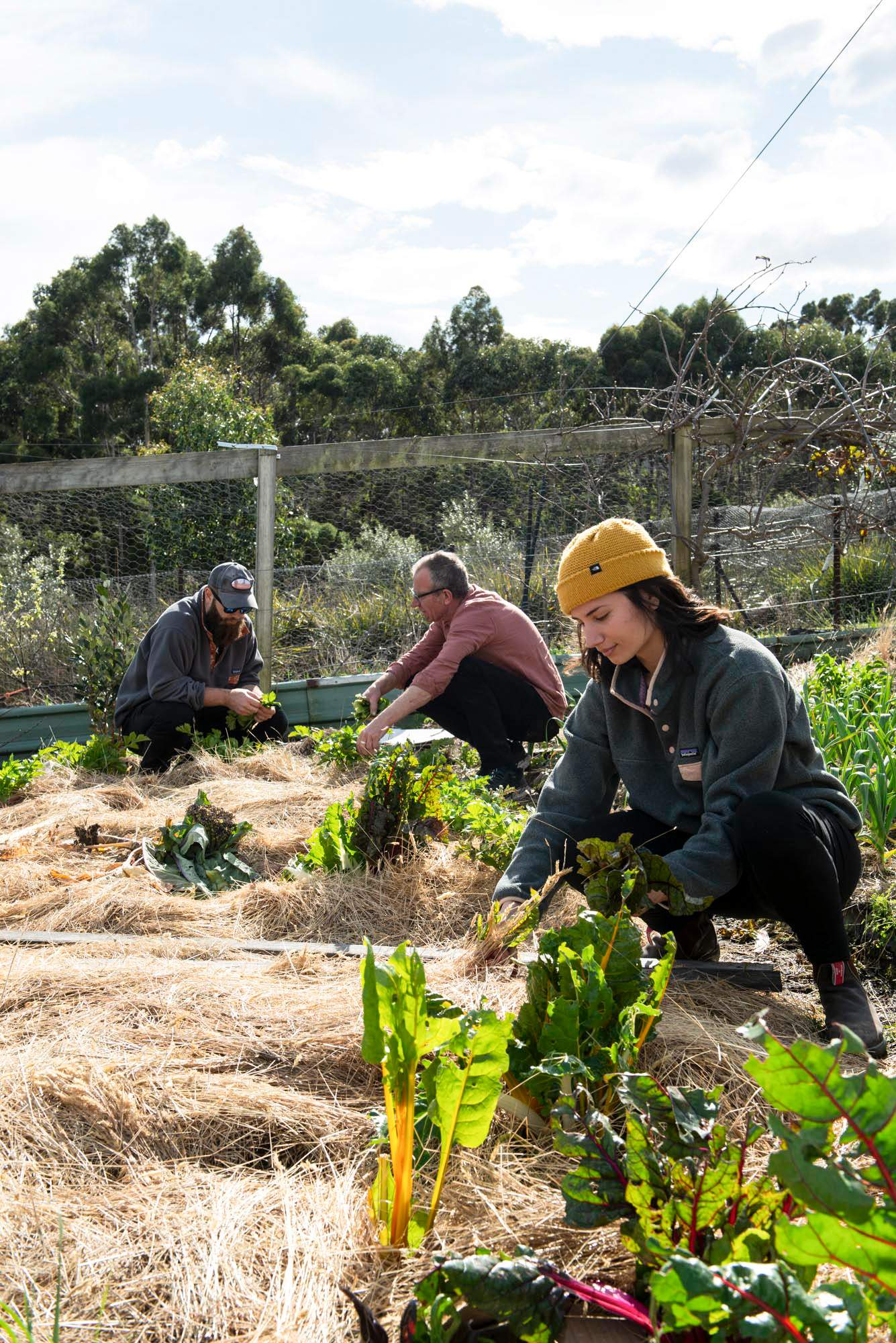 lr_producers_brunyisland_sept20-c-chriscrerar-0265.jpg