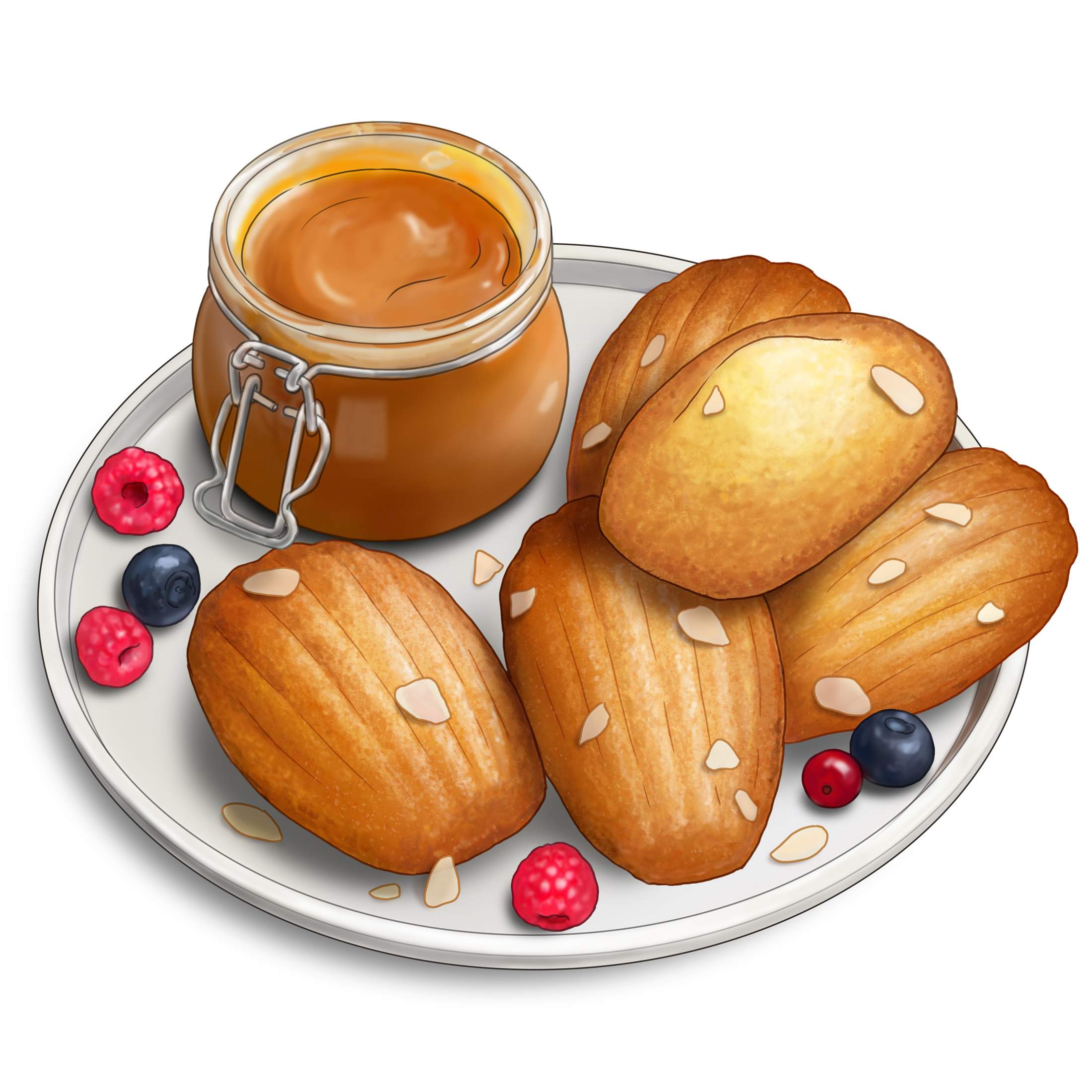 madeleines_color.jpg