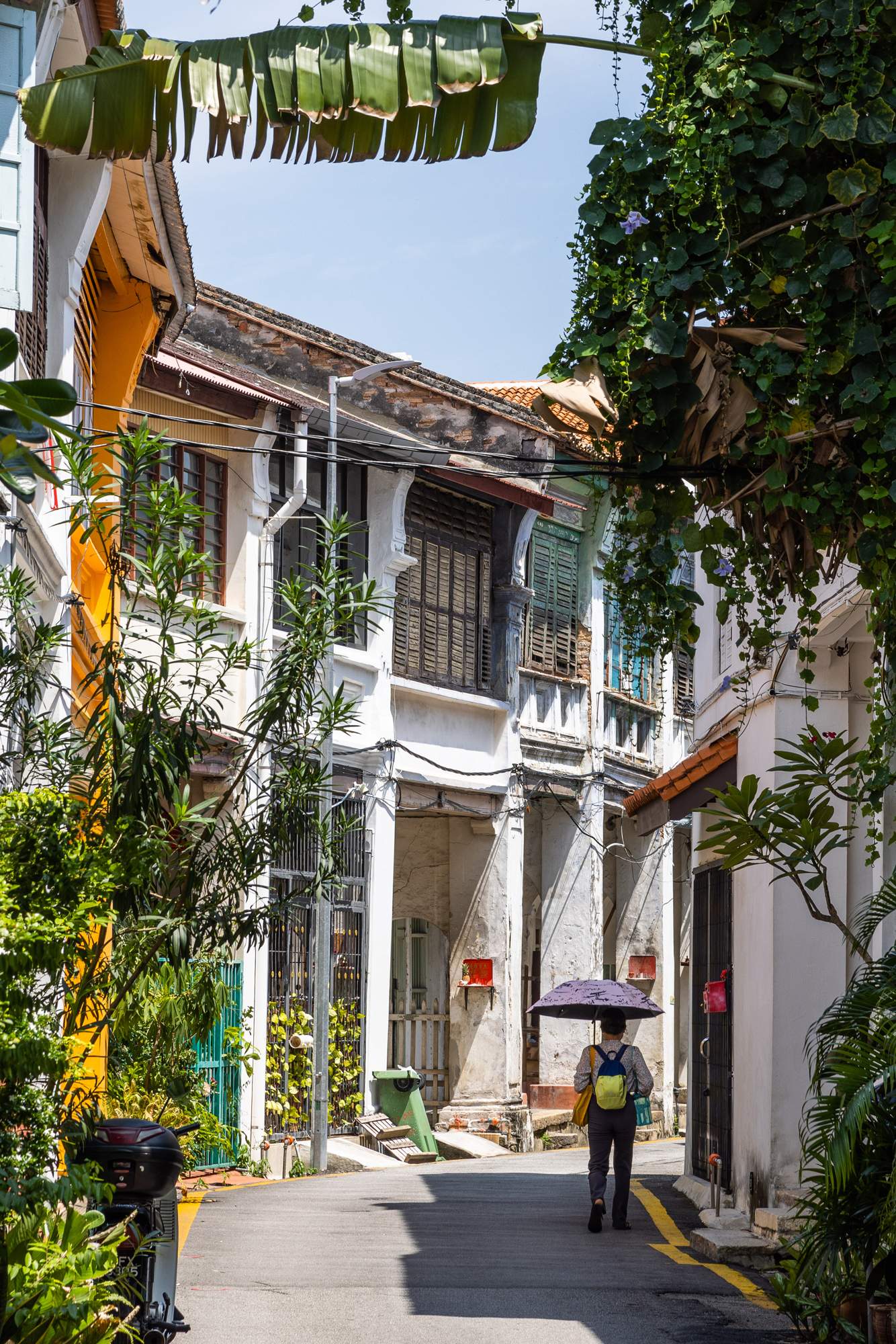 Cotton On  Shopping in George Town, Penang