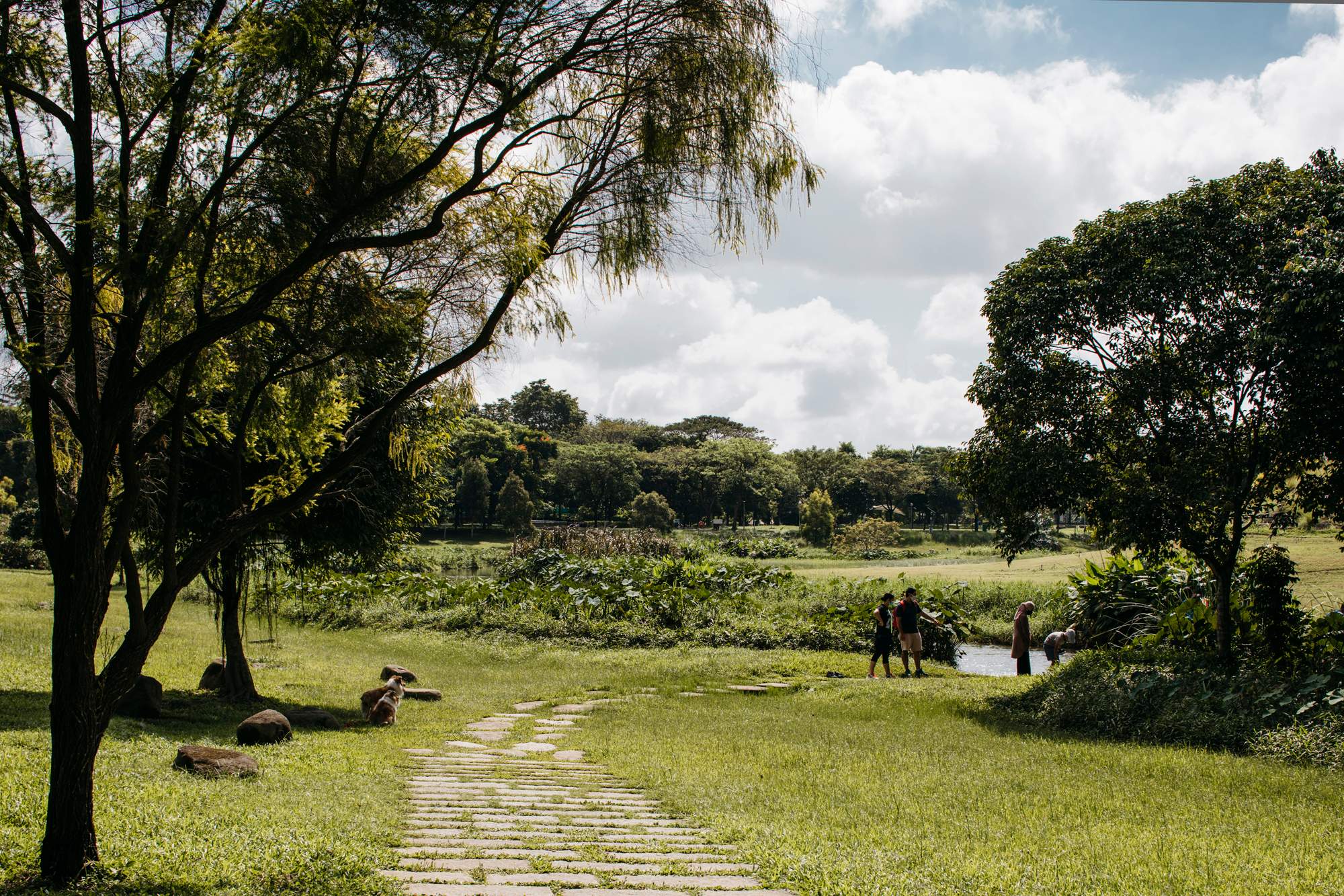 monocle-ramboll-bishan-park-112.jpg