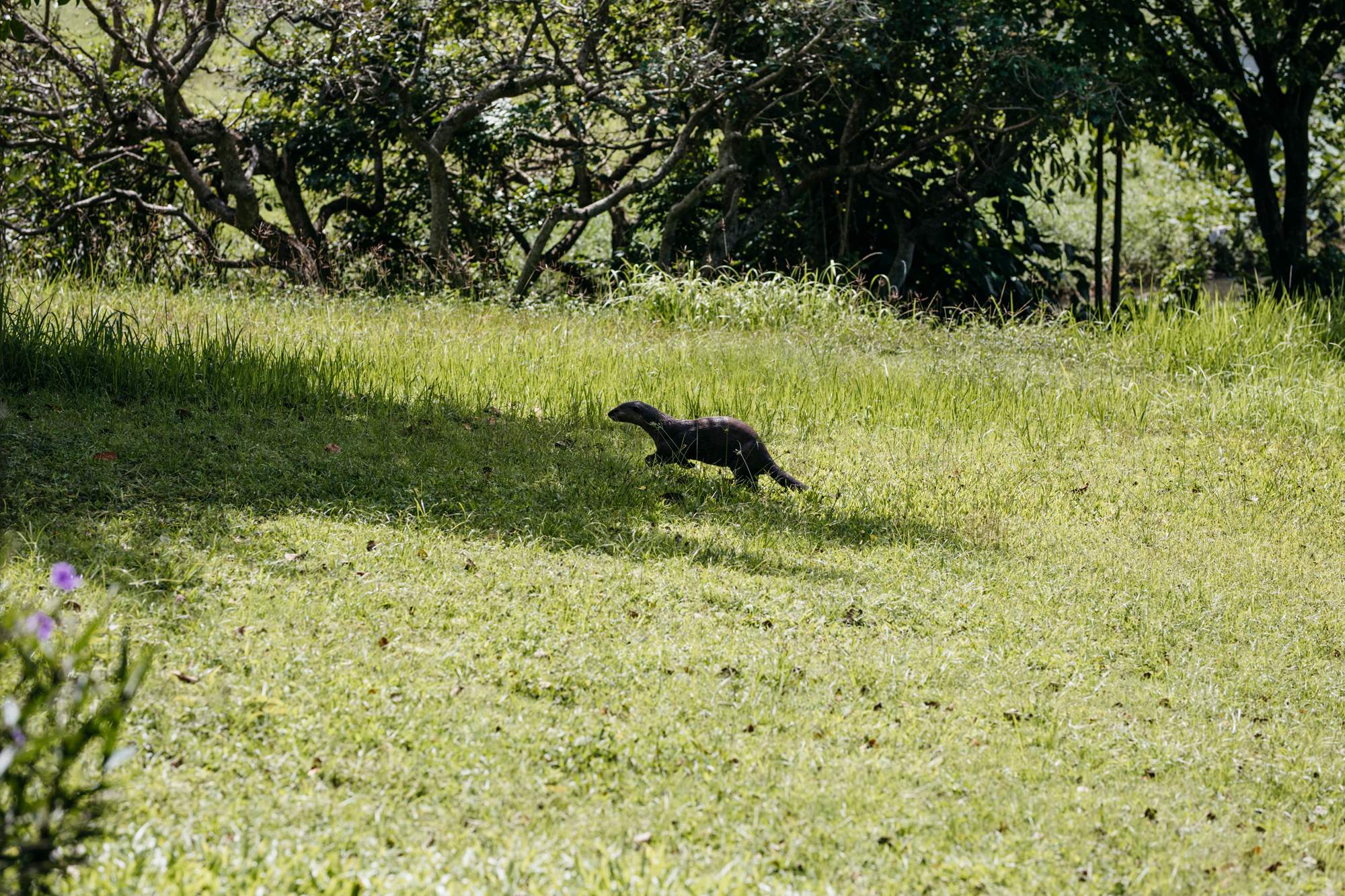 monocle-ramboll-bishan-park-136.jpg