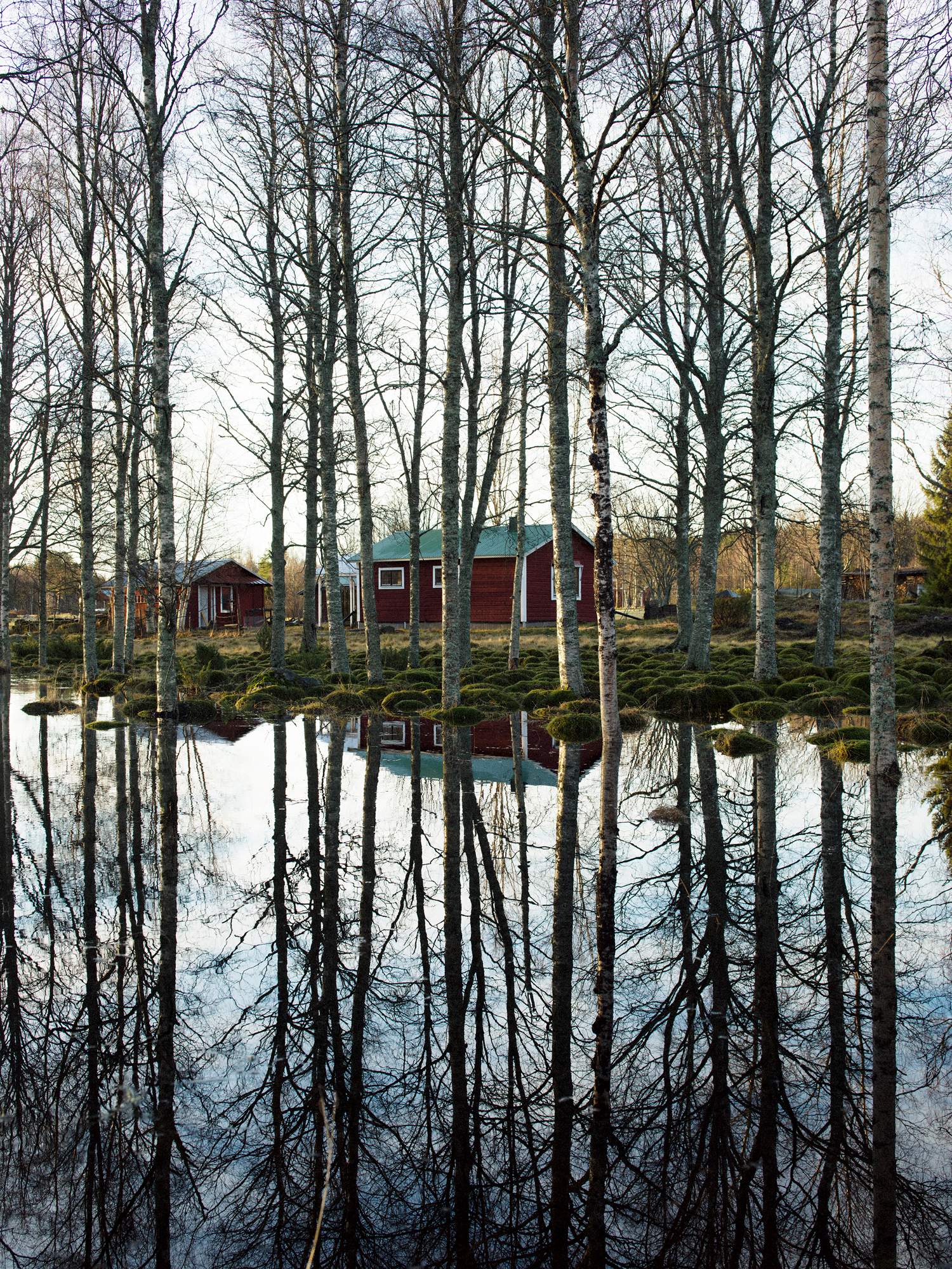 norrbotten_landscape_0404.jpg