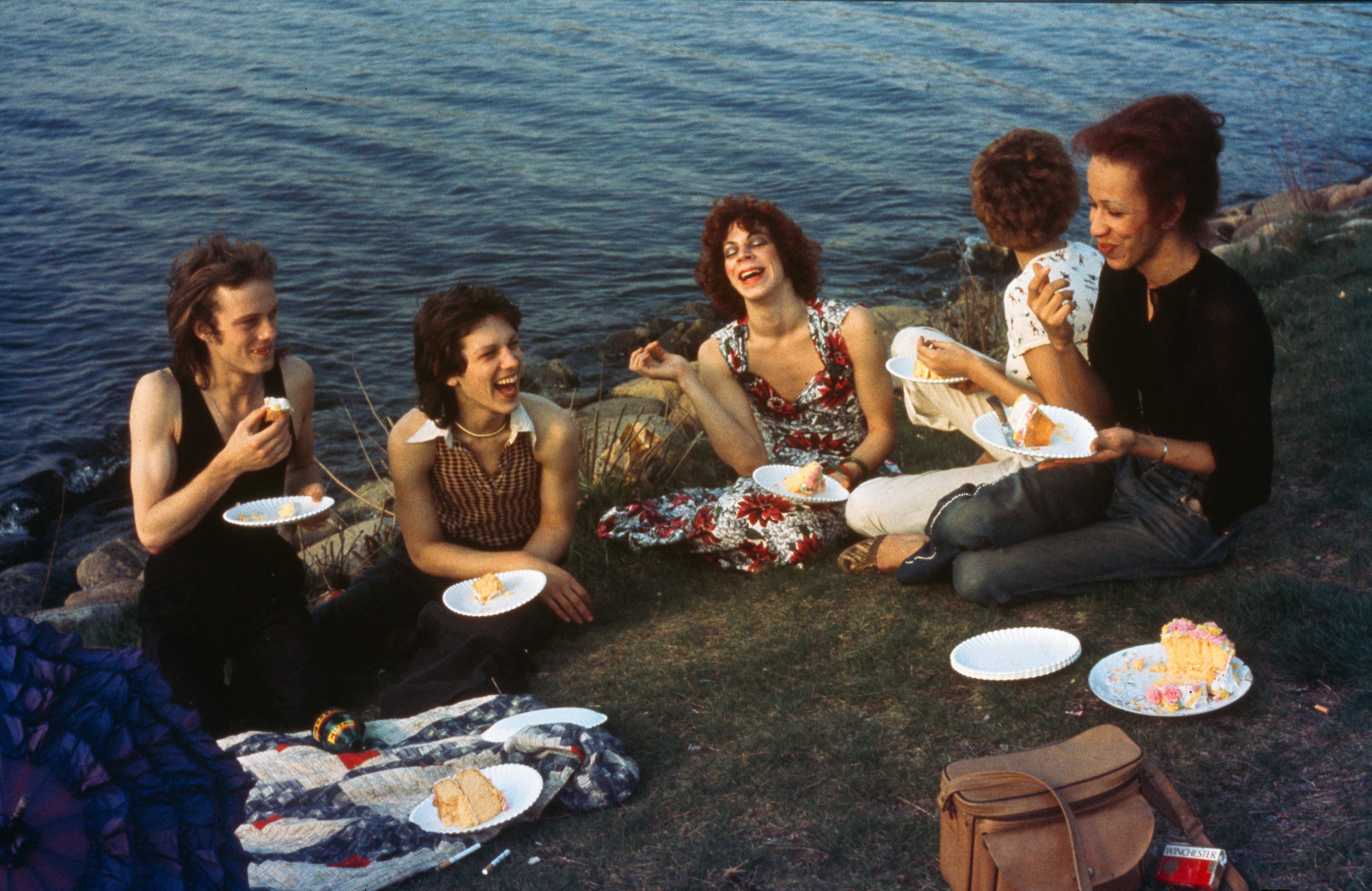 picnicontheesplanadeboston1973.jpg