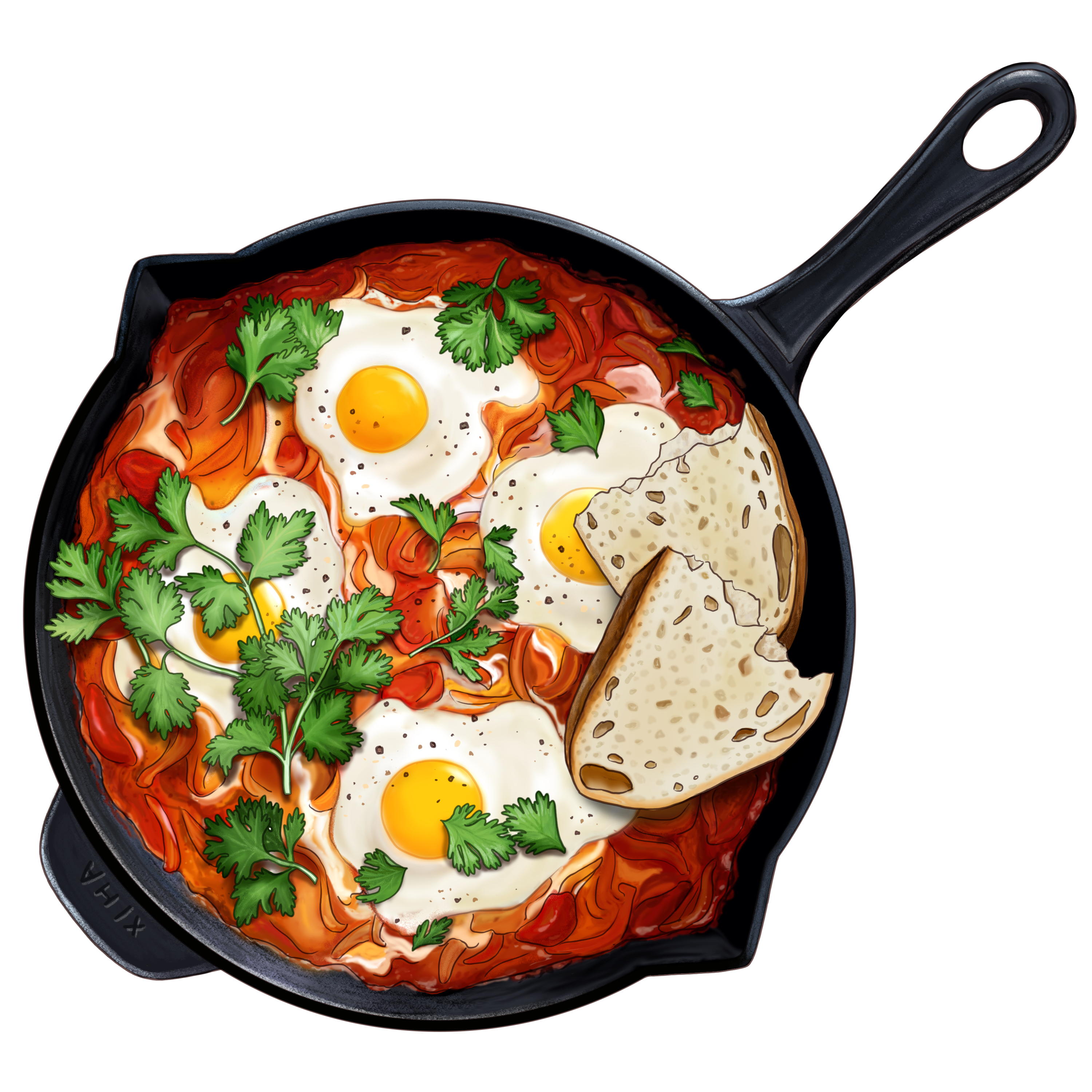 shakshuka_color.png