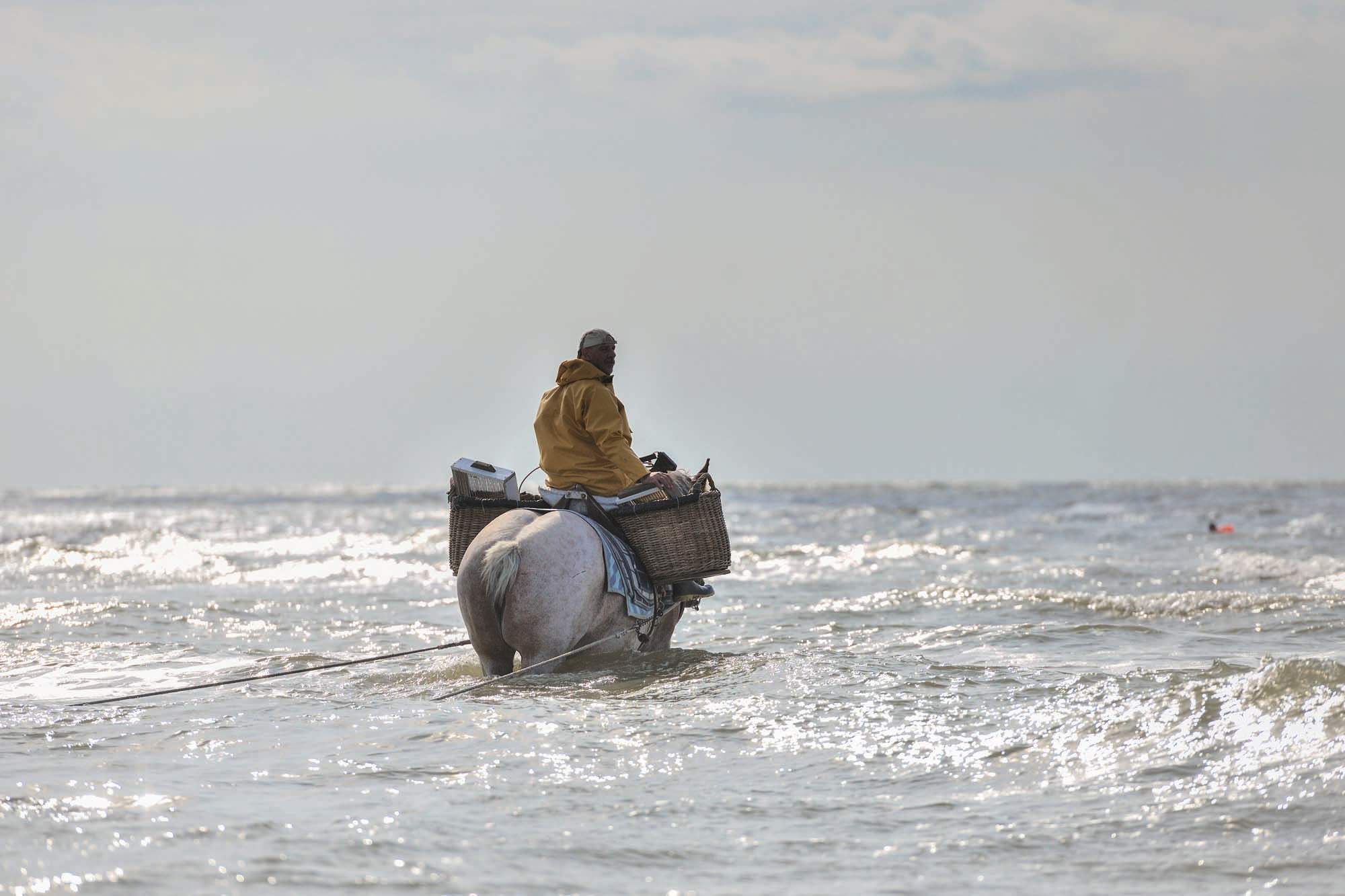 shrimp-fishing-_esx9935.jpg