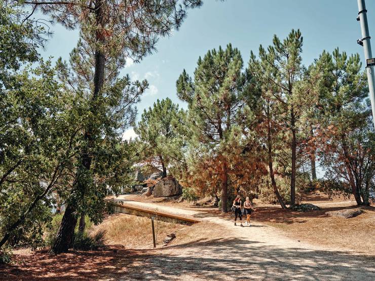 carlos_chavarri-a_monocle_galicia_survey_walking_around_ourense_hi_res_030.jpg