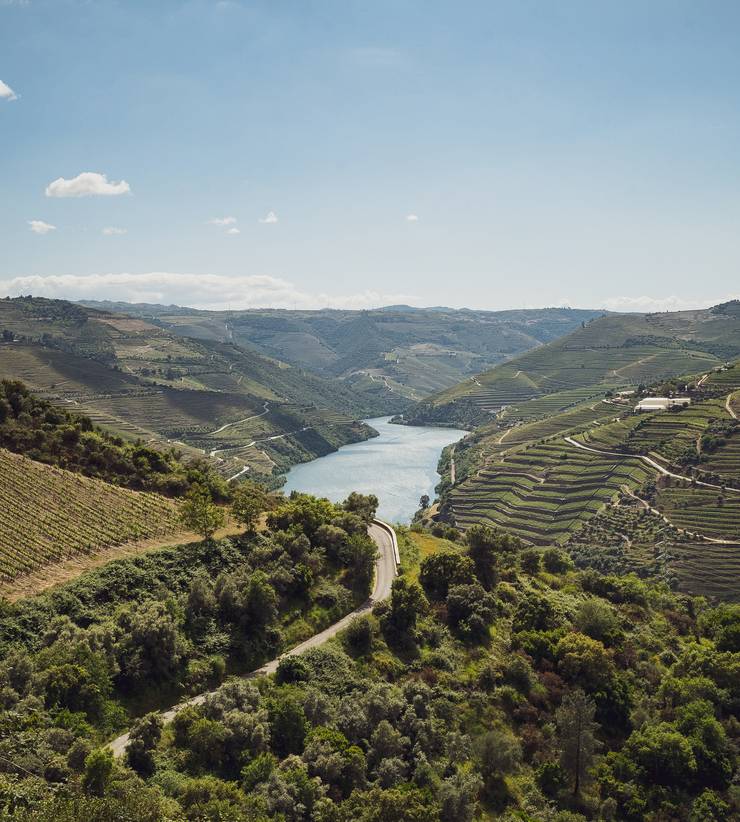 matildeviegas_qdlr_douro.jpg