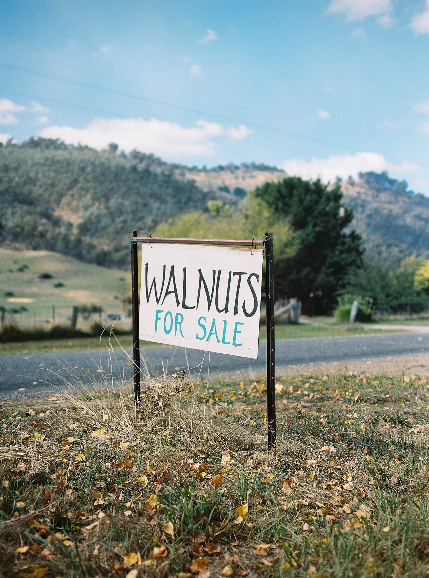 walnut_farm_17.jpg