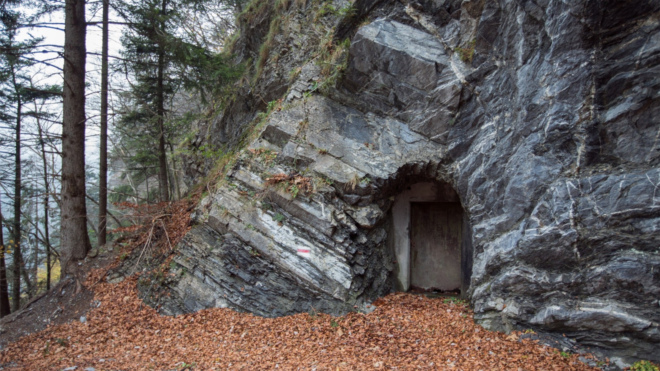 Хранилище времени затерянная глушь. Замаскированное подземное убежище. Землянка бункер в Холме. Землянки в Швейцарии. Замаскированный бункер в лесу.