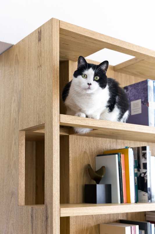 Bookshelf by Play Arquitetura (with a feline finishing touch)