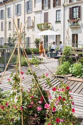Architecture firm Piuarch’s vegetable patch