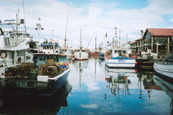 Hobart’s port 