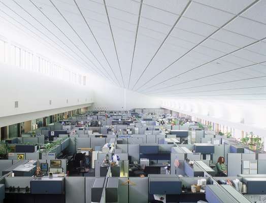 AFN production offices bathe in Californian sun