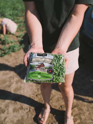 Mill Creek Farm peas are hand-picked