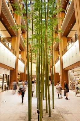 Ground floor of the Midtown foyer