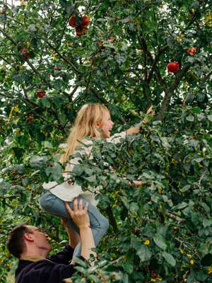 Heights of apple picking 