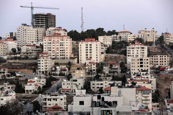 Cranes over Ramallah