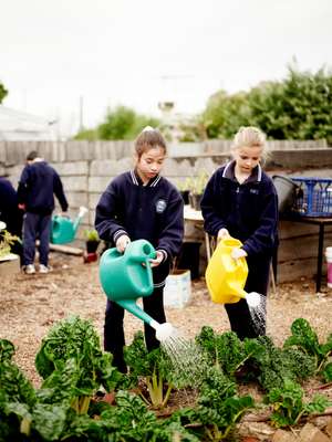 Kitchen Gardens, Melbourne