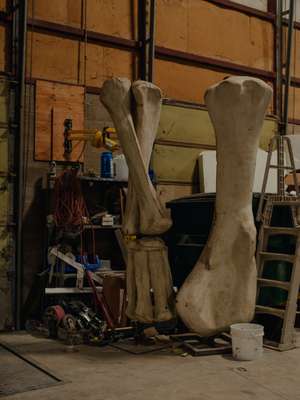 Cast of giant Ultrasaurus bones 