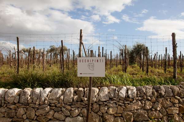 Sicilian wine