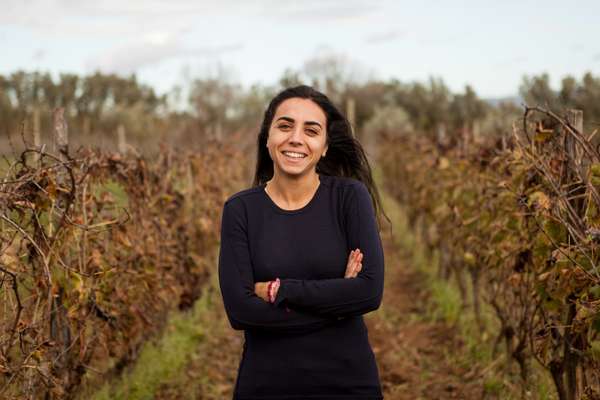 Sicilian wine