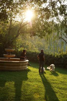 Garden with a view