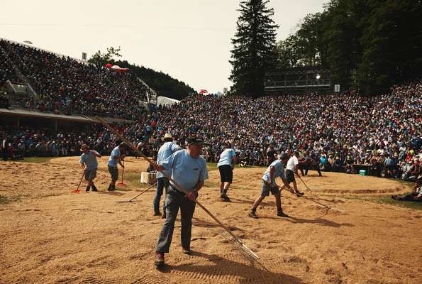 Pitch perfect; rakers sifting the sawdust