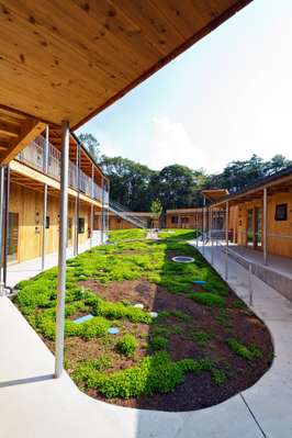 Shared courtyard