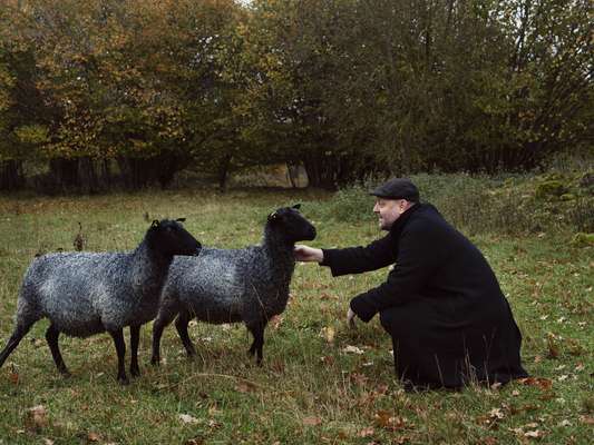 Alexander Stutterheim tending to his flock on Öland island