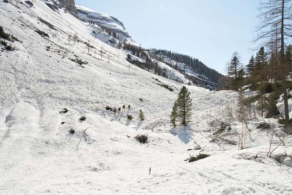 Snow-covered slopes 