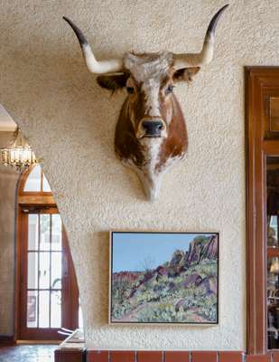 A longhorn, stuffed yet nonchalant, at the Hotel Paisano