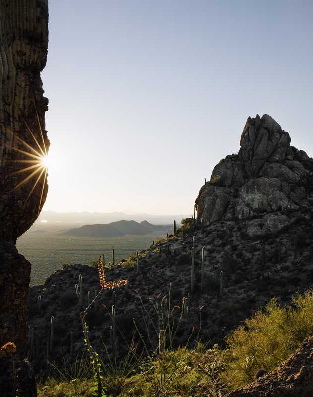 Early-evening sun at Gates Pass 